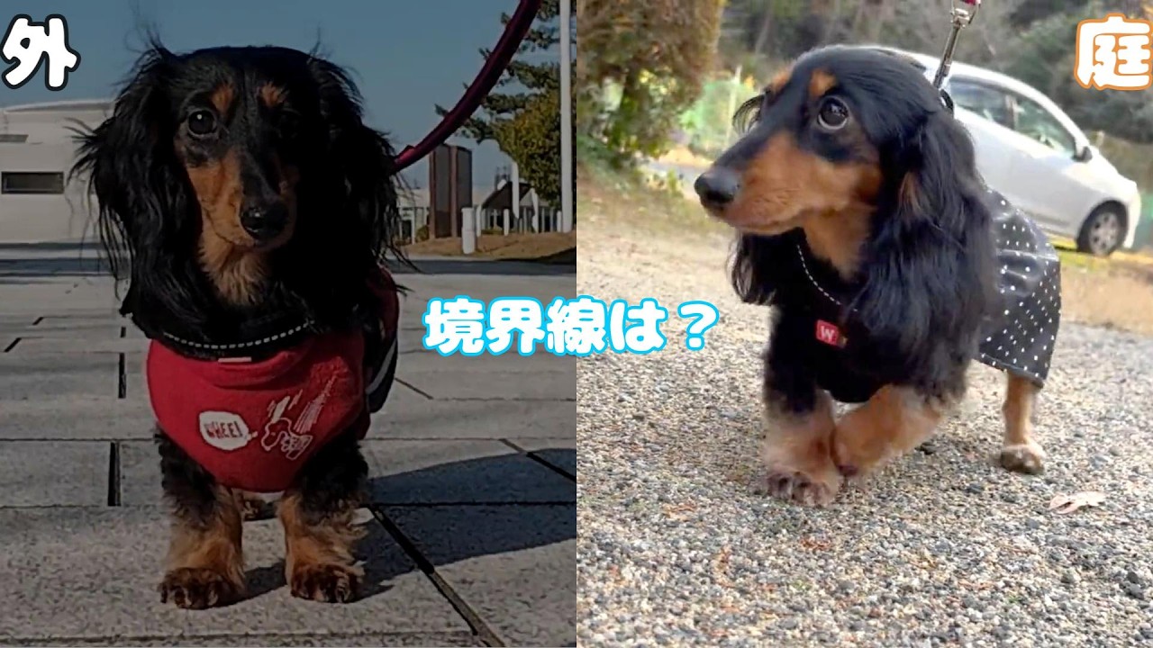 庭の延長なら歩ける…境界線を調べてみた