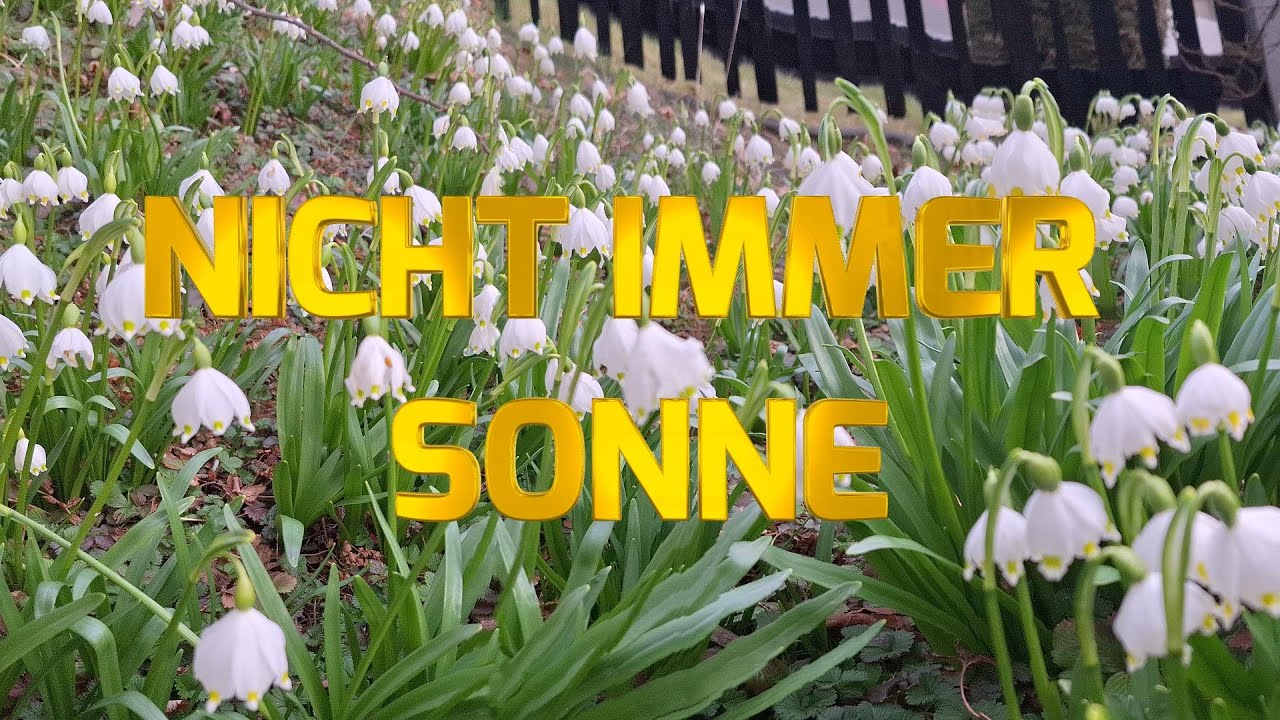 Nicht immer Sonne