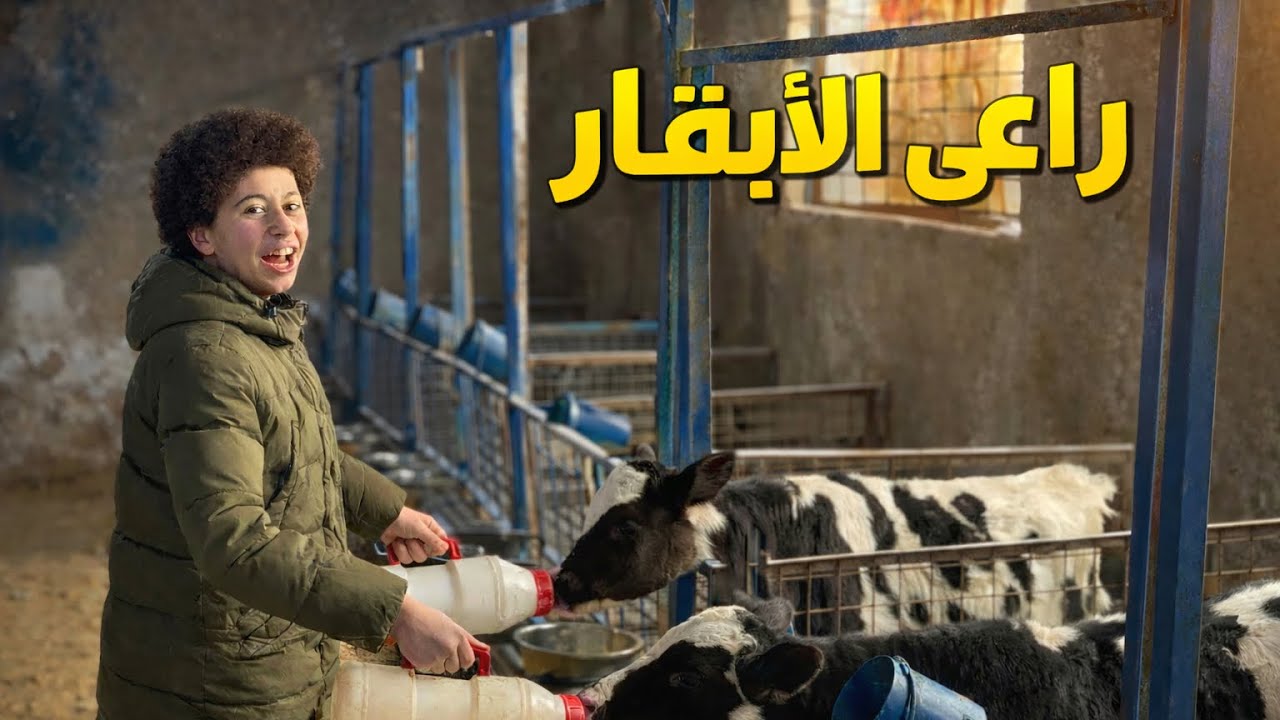  ( الحلقة الأخيرة وشروط مسابقة العمرة 🔥🔥 ) ابو كشه يرعى الأبقار 🐄 