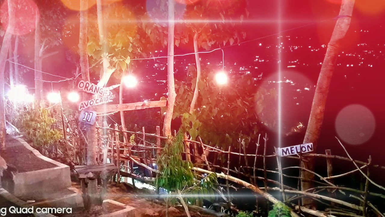 Cafe Bukit Watu Tumpang (BWT) ☕🍽️ | Prigen Pasuruan