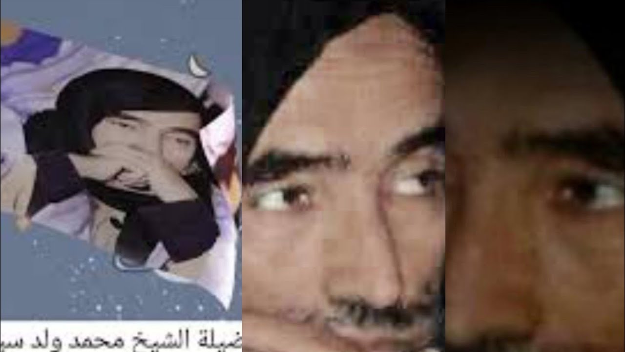 سئلة_الشيخ_محمد_ولد_سيدي_يحي_الدرس3#محمد #ولد سيدي يحيى #الشيخ 