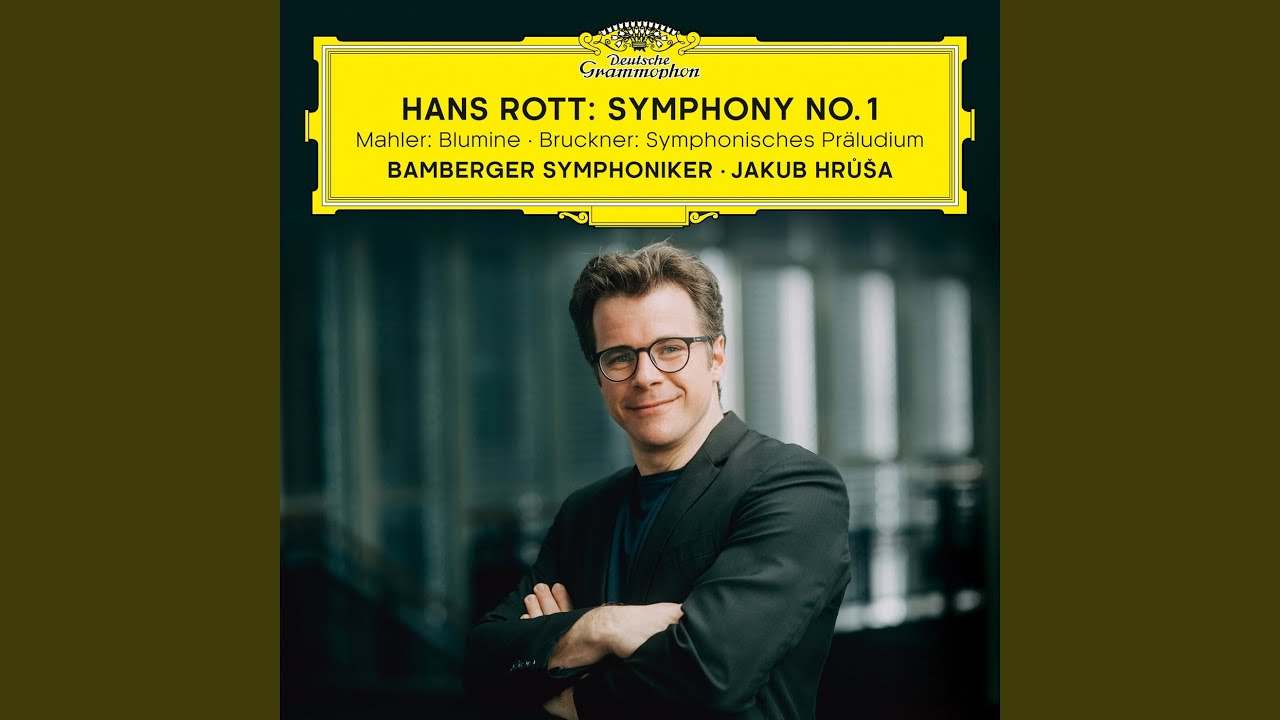 Mahler: Symphony No. 1 in D Major / Pt. 1: II. Andante allegretto 