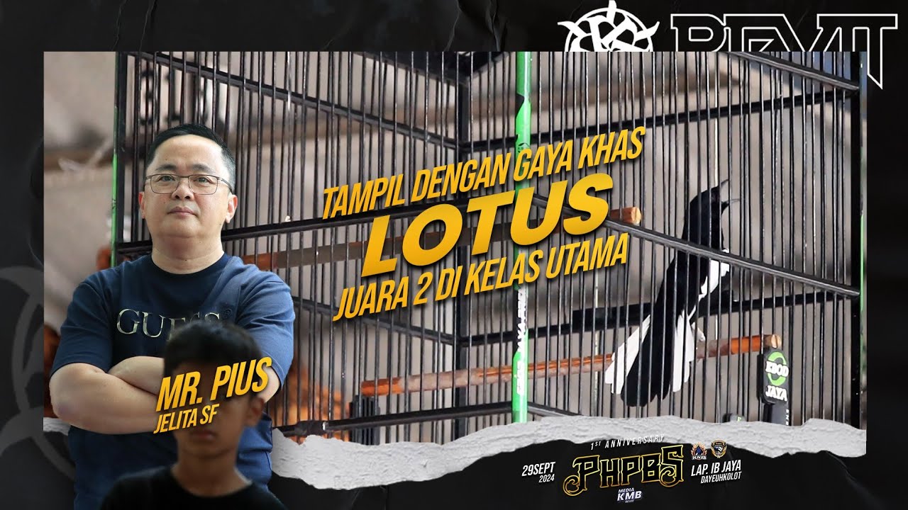 LOTUS JUARA 2 DI KELAS UTAMA ‼️ 1ST ANNIVERSARY KMB PHPBS