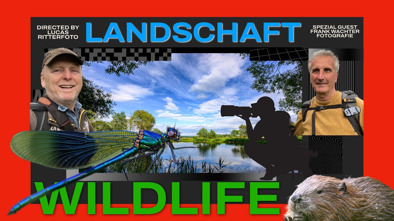 Landschafts -und Wildlife Foto-Abenteuer - Biber Familie am Flussufer der Werra (Thüringen)
