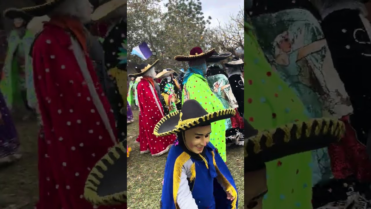 Carnaval camarones 🦐 2026-día domingo 
