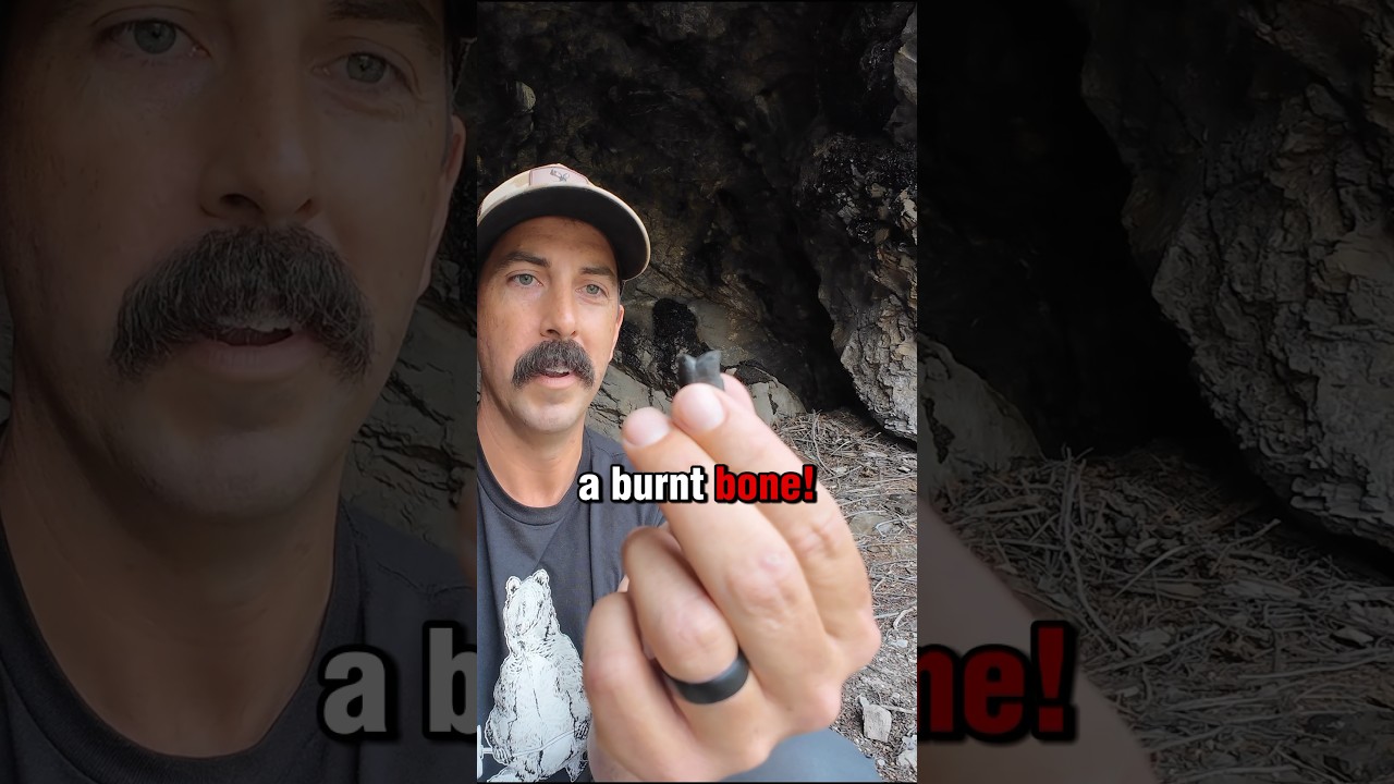 Top 3 Incredible Cave Finds! 😱 #Explore #Cave #Ancient #Bones