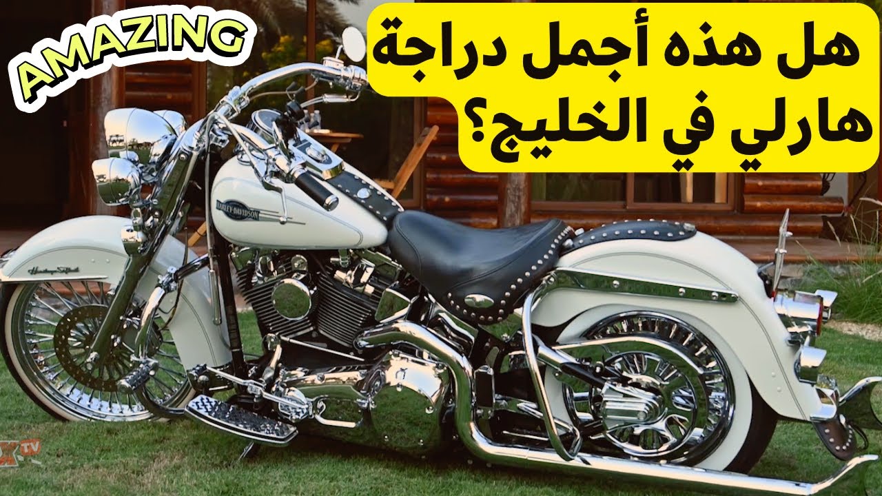 أجمل دراجة هارلي في الخليج العربي؟ I Check Out This Beauty!
