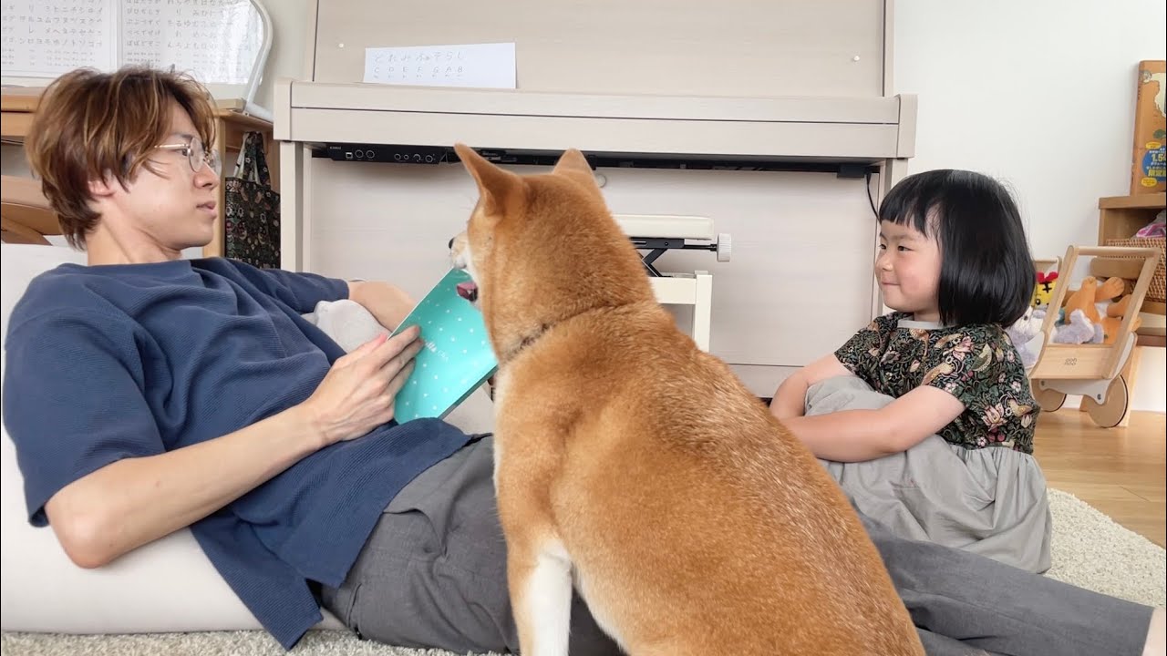 柴犬と娘がいる家で試験勉強するとこうなる