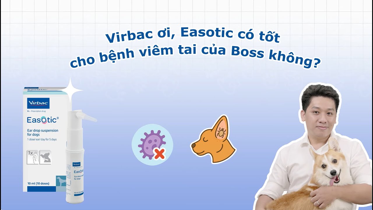 VIRBAC ƠI, SỬ DỤNG EASOTIC PHÒNG CHỐNG BỆNH VIÊM TAI VÀ LÀM SẠCH TAI CHO BOSS THUỐC NHỎ TAI CHÓ MÈO