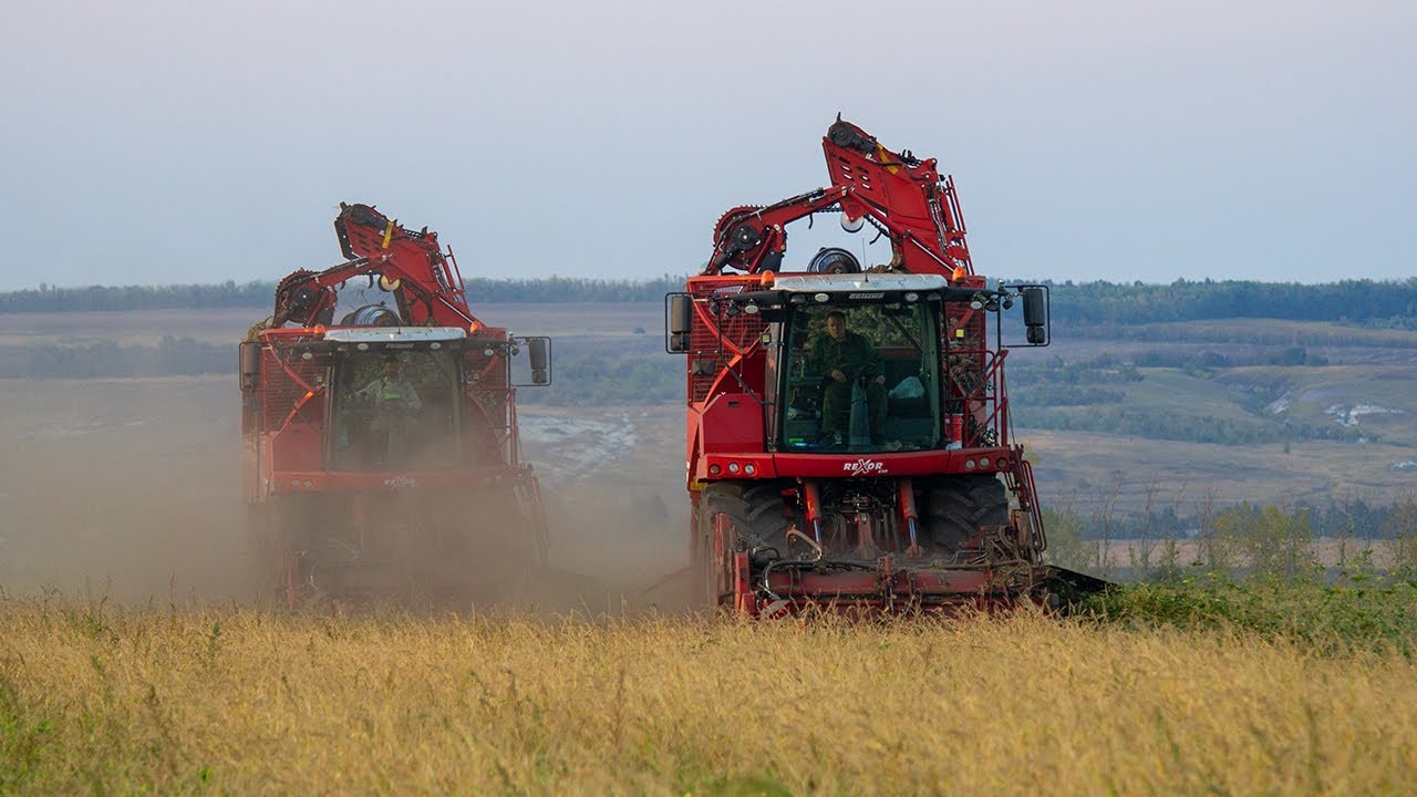 Урожай свеклы XXL: 24-часовой урожай с Grimme на 800 000 га агрохолдинга