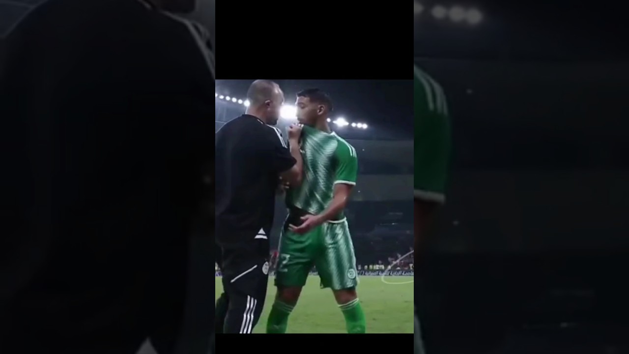 L'altercation entre Belmadi et Benrahma lors d'Alg&eacute;rie - Egypte #football #algerie #shorts #fyp