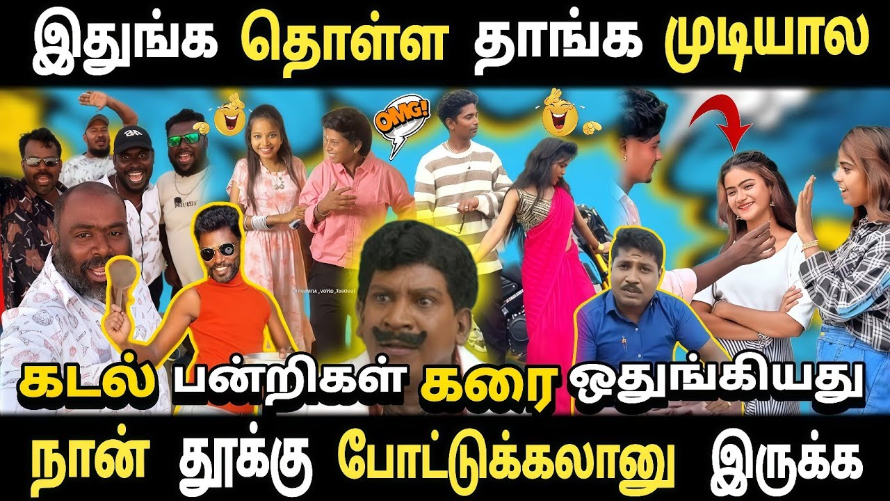 கடல் பன்றிகள் கரை ஒதுங்கியது தருணம் 🤣 | இதுங்க தொள்ள தாங்க முடியால கடவுளே 😂 | Instagram Troll Tamil