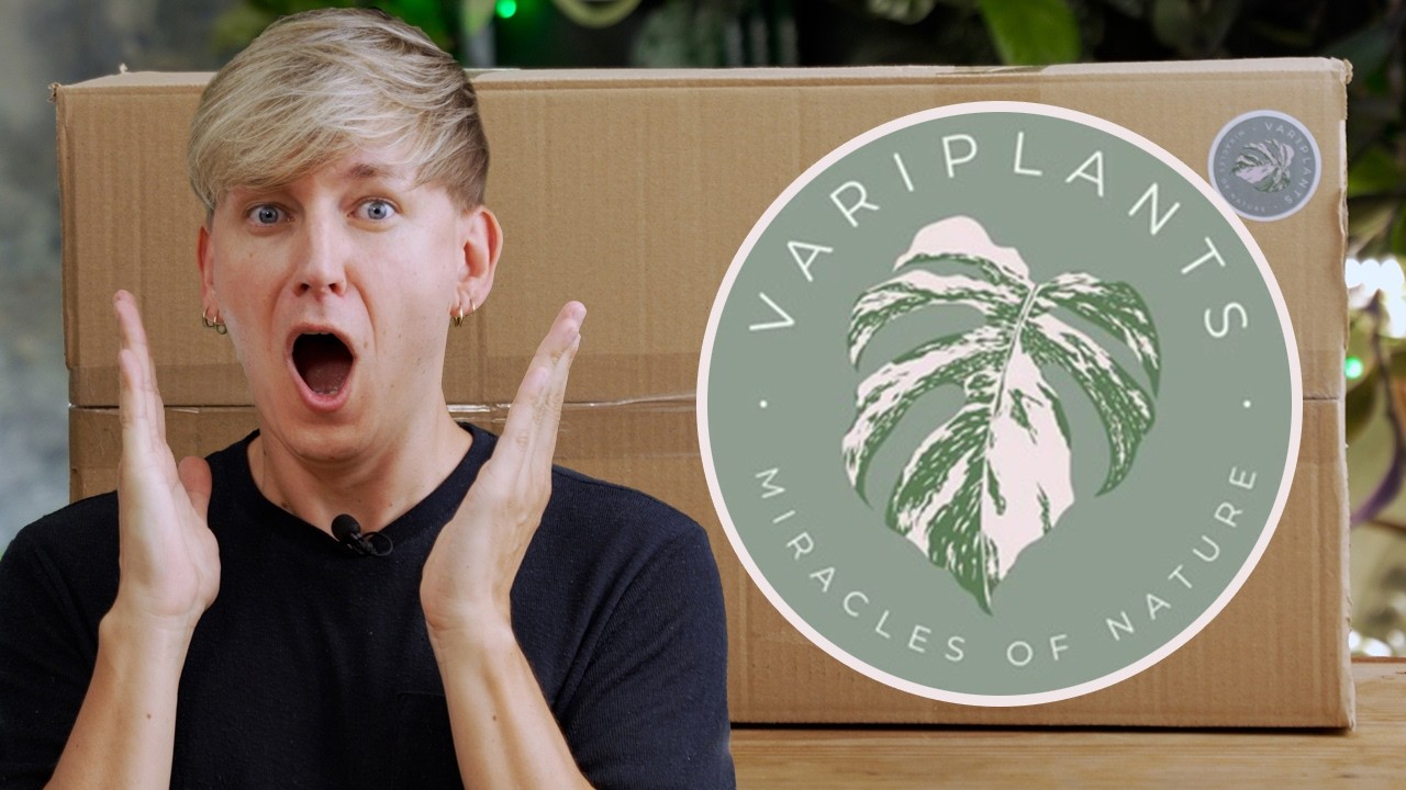 VariPlants im Test 😱 DAMIT hätte ich wirklich NIEMALS gerechnet!