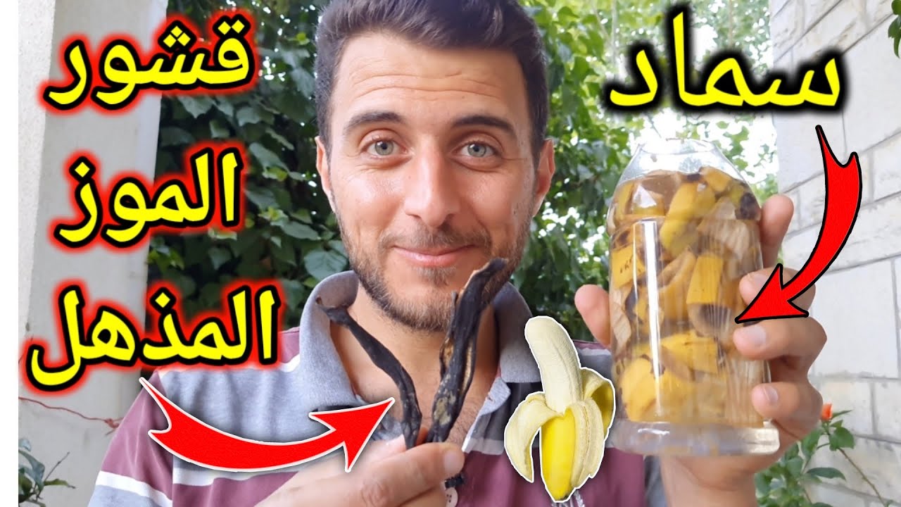 طريقة عمل سماد قشور الموز وفوائده المذهلة للنبات 🍌
