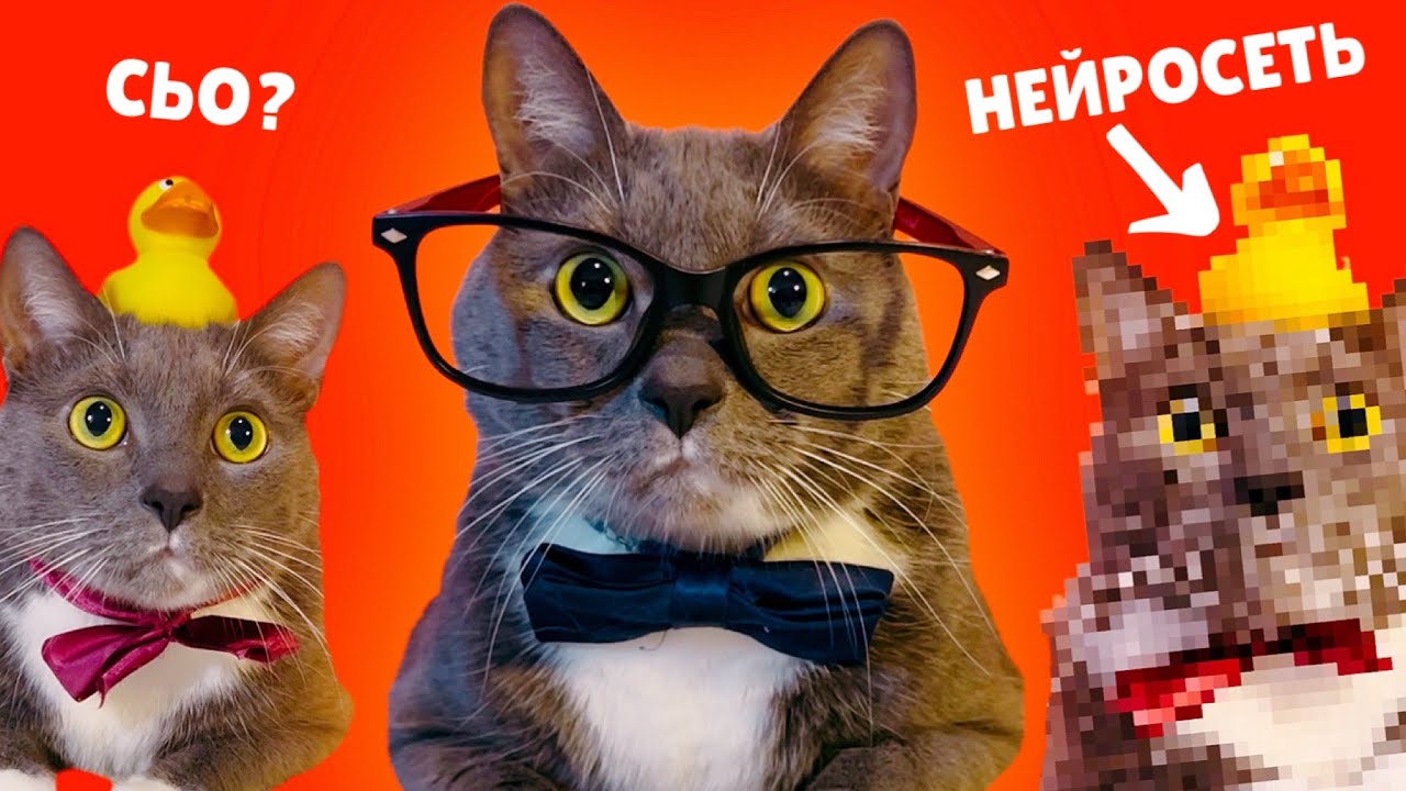 КОТИКИ vs НЕЙРОСЕТЬ