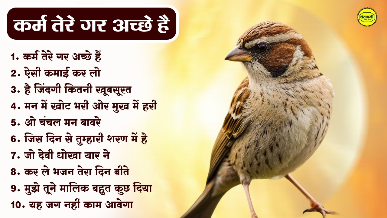 सबसे ज्यादा सुने जाने वाले निर्गुण भजन | Chetawani Bhajan | Nirgun Bhajan | Nirgun Satsangi Bhajan