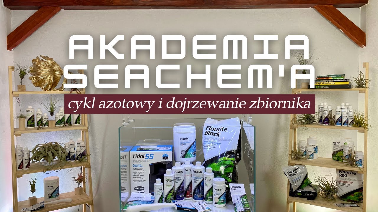 Akademia Seachem'a: cykl azotowy i dojrzewanie zbiornika. Odc. 4