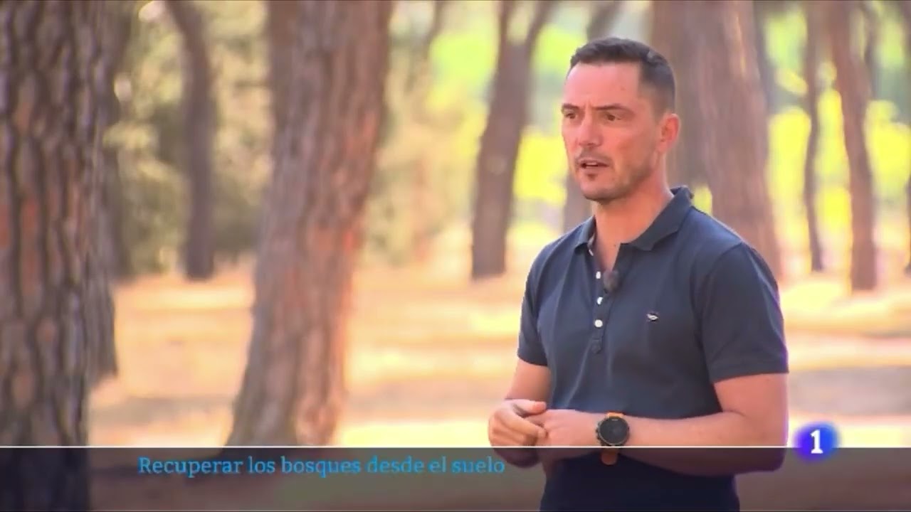 Las secuelas invisibles de los incendios forestales