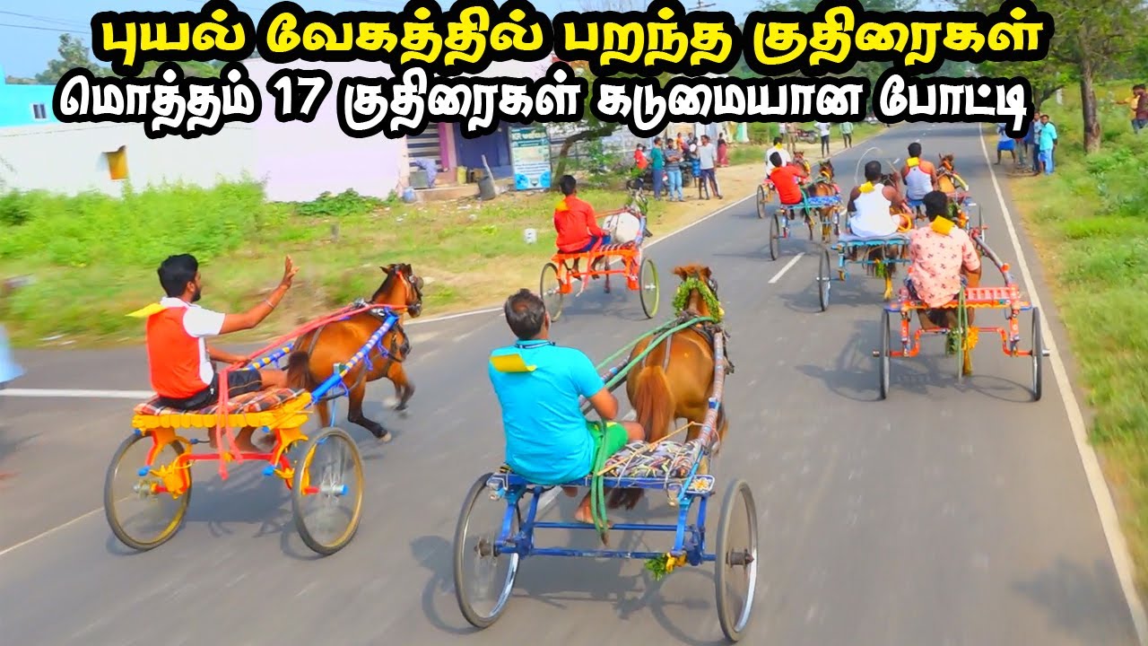 43inch குதிரை ஈரோடு(மா) அந்தியூர் குதிரை வண்டி பந்தயம்|19-12-21|| Anthiyur 43inch kuthirai panthayam