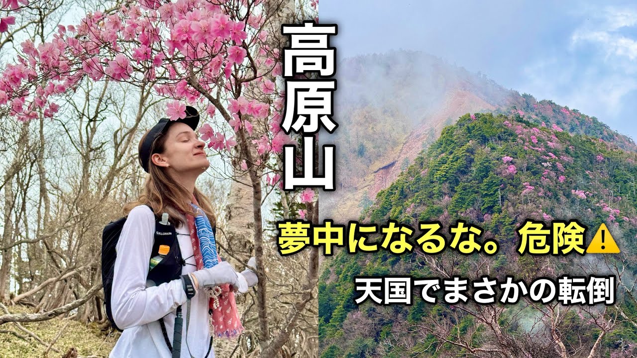 【高原山】美しすぎる花畑で、まさかの転倒…?!