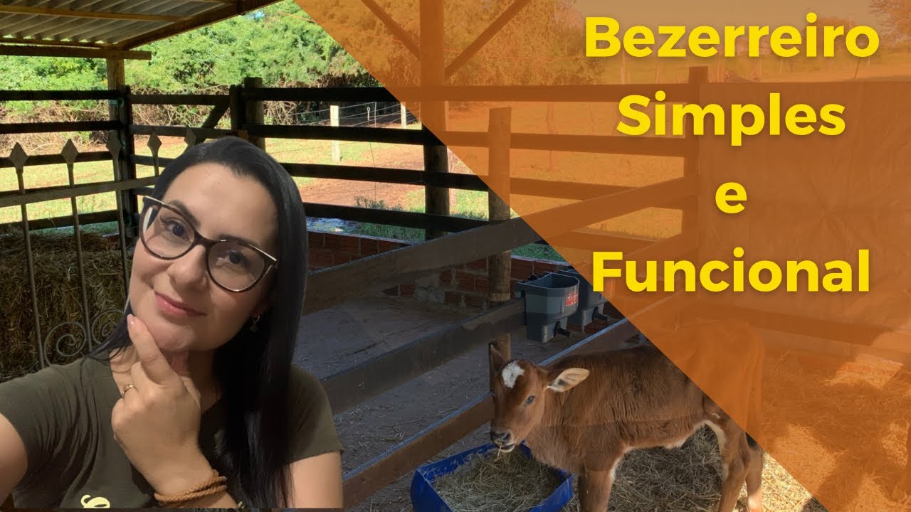 CONSTRUINDO MEU BEZERREIRO, SIMPLES E FUNCIONAL