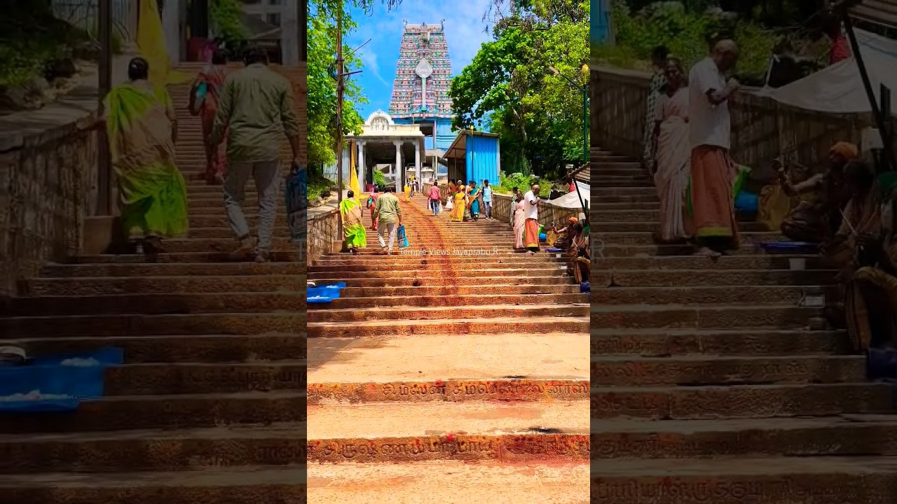 Thiruthani Murugan Temple Views 09/07/2024
