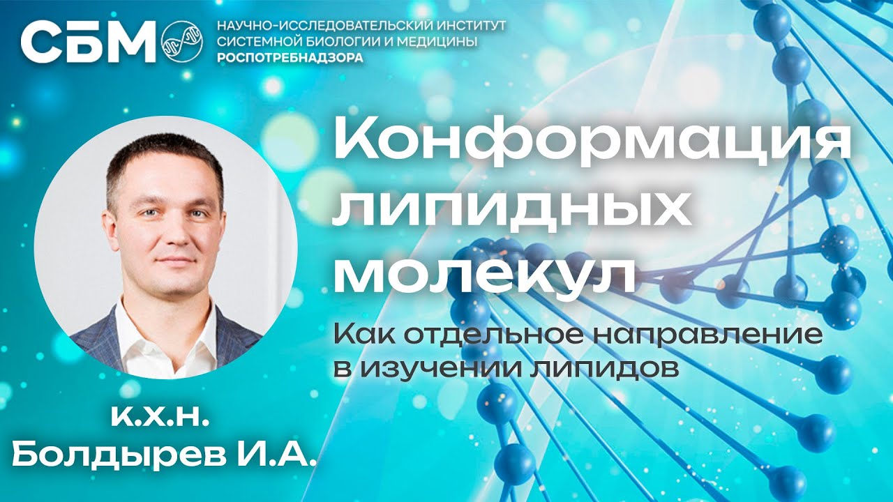 БОЛДЫРЕВ: &laquo;Конформация липидных молекул&raquo;