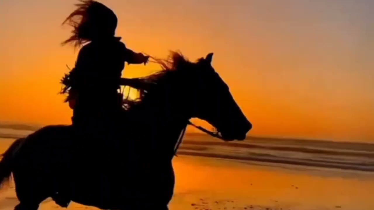 Paisagens e músicas para relaxar 