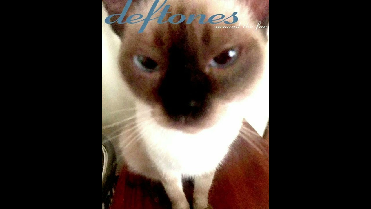 rosemary by deftones but its that one part