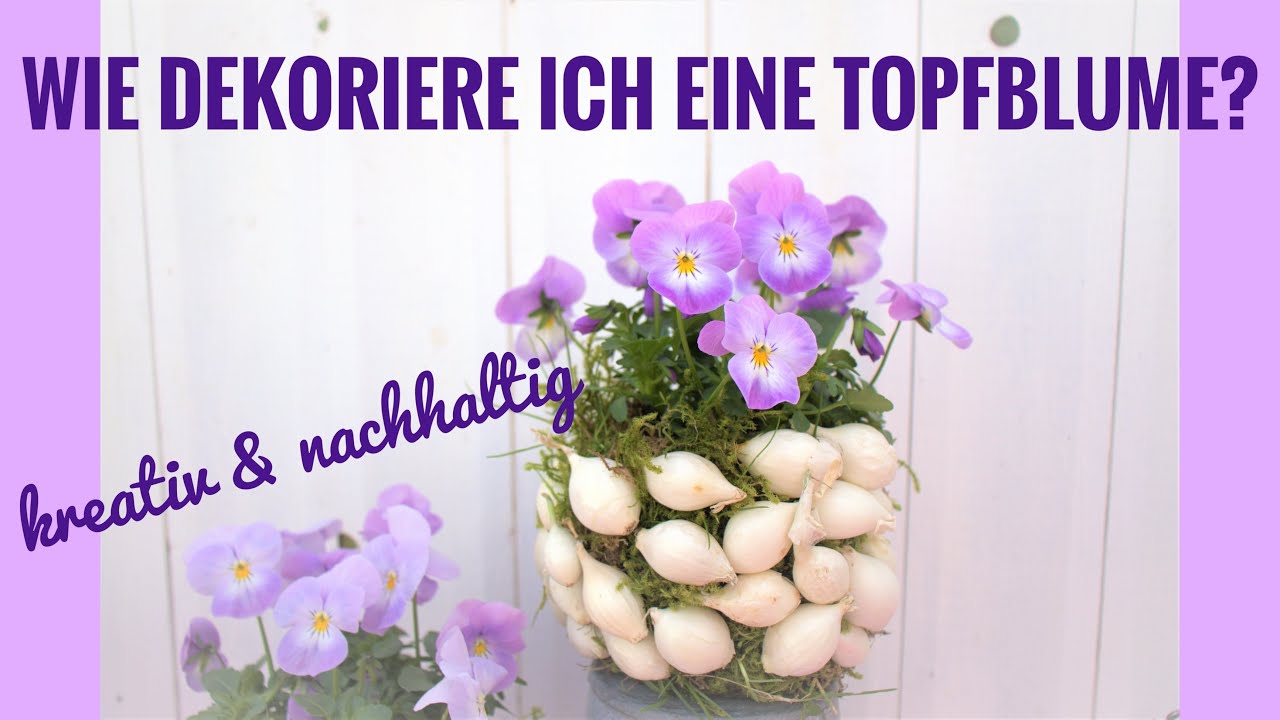 DIY-Dekoidee: TOPFBLUME dekorieren mit STECKZWIEBELN - NATÜRLICH & KREATIV