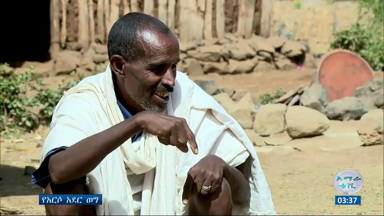 እኛ ጠቢባን ነን... የአርሶ አደር ወግ