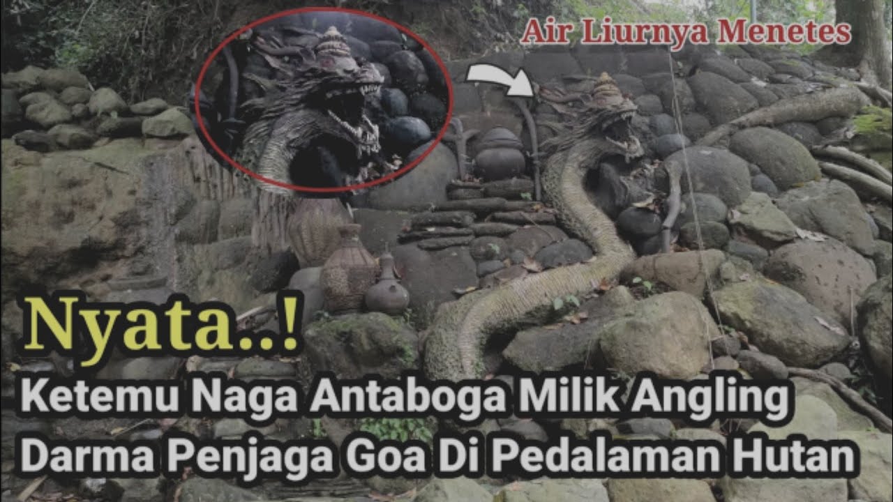 Nyata ! Ketemu Ular Naga Antaboga Milik Angling Darma Penjaga Goa Misterius Di Pedalaman Hutan