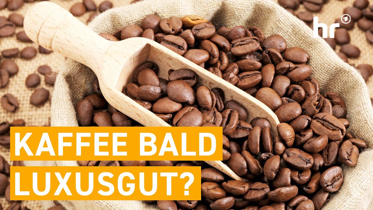 Kaffee-Krise trifft RABATT-Wahnsinn – was steckt dahinter? | mex
