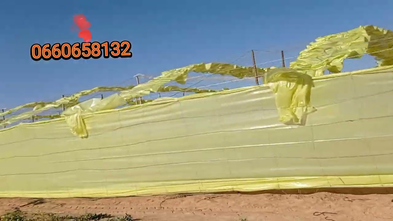 تركيب البيوت البلاستيكية المغلفة هكتار   صوبة زراعية 0660658132