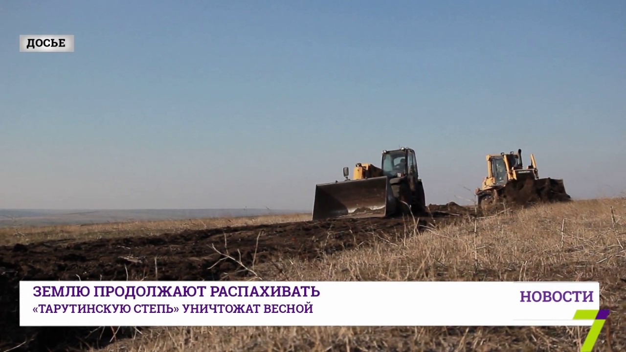 Уникальный заказник &laquo;Тарутинская степь&raquo; уничтожат этой весной