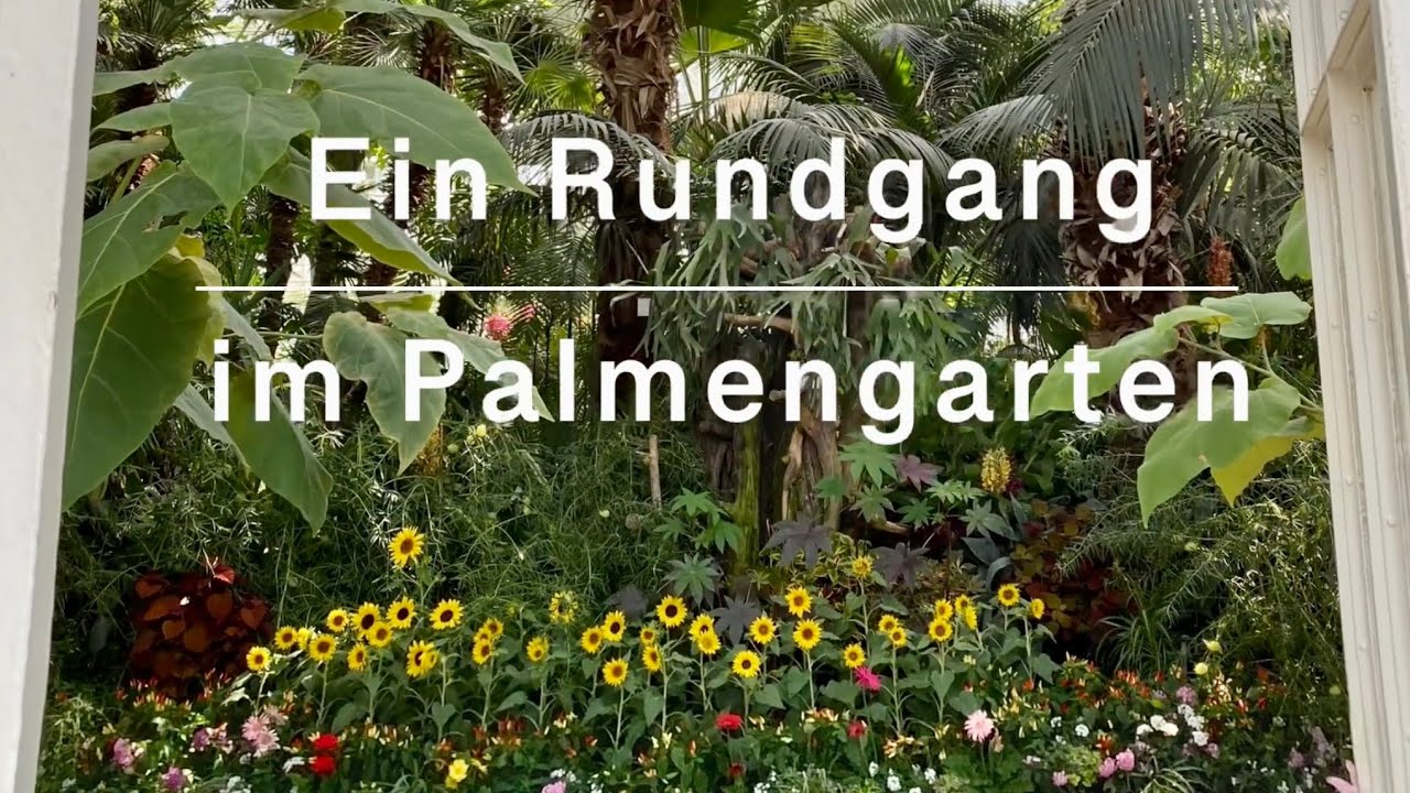 Palmenhaus Sch&ouml;nbrunn in Vienna