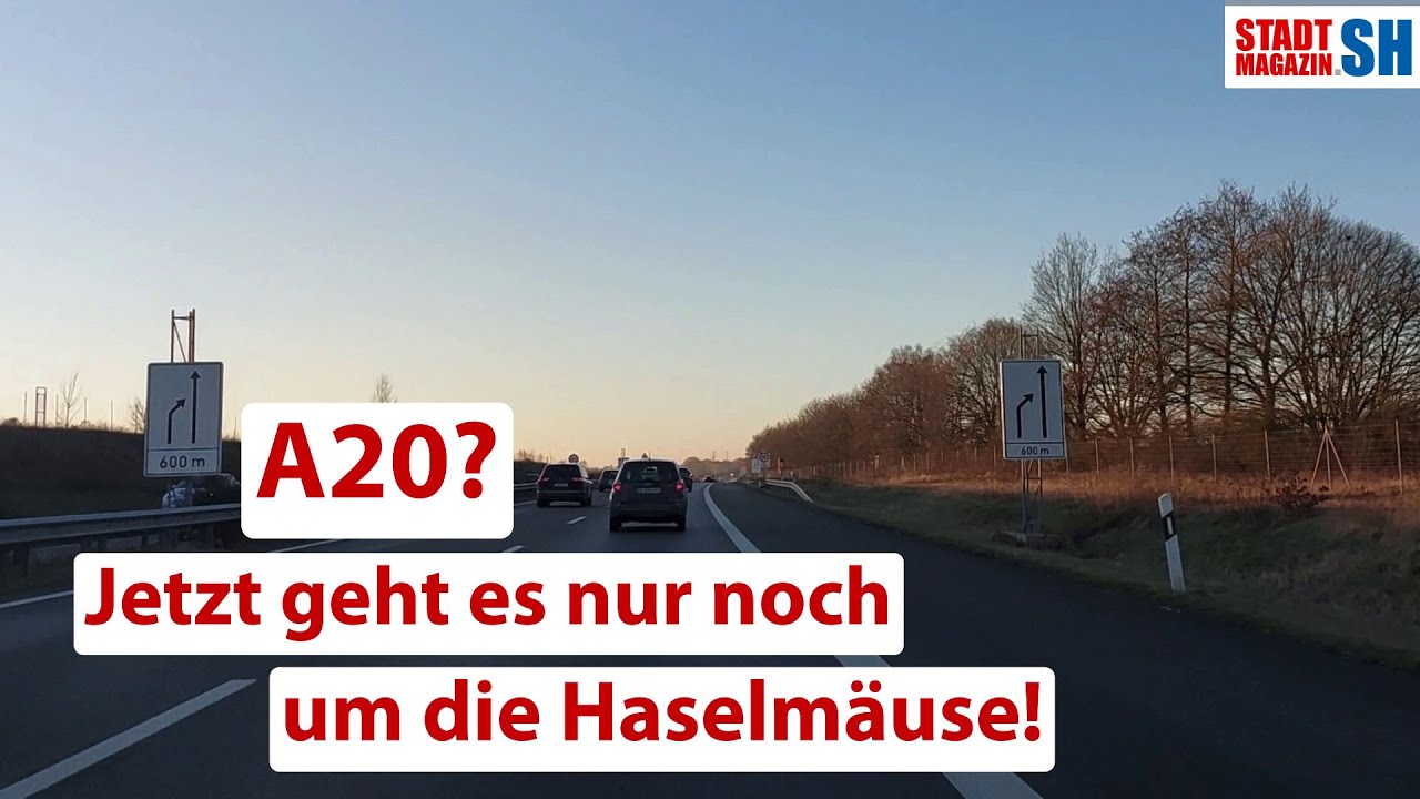 A20? Jetzt geht es nur noch um die Haselmäuse!