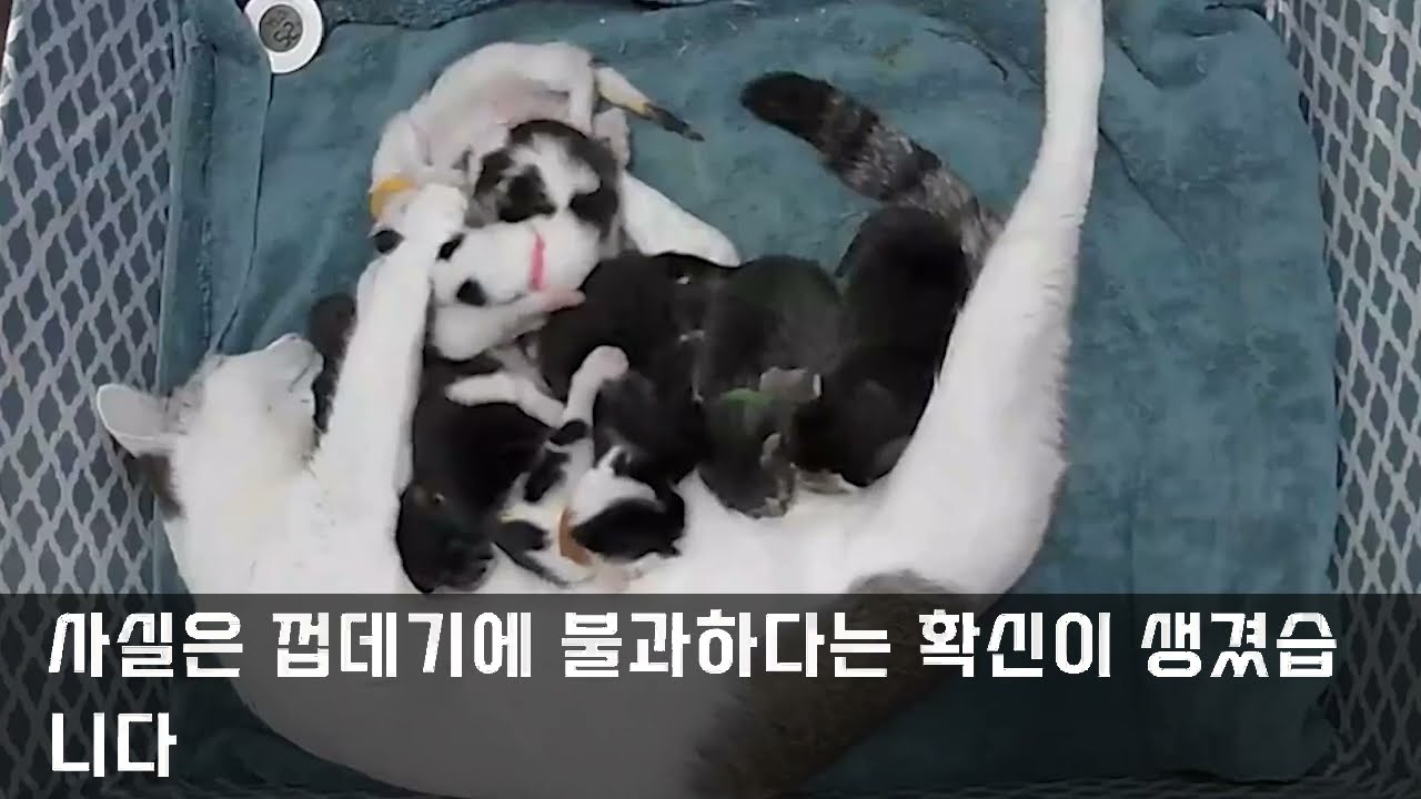 퇴근하면 ‘엄마 집 간다’던 아내, 따라가 봤다가 3명이 무너졌습니다   불륜사연   사이다썰