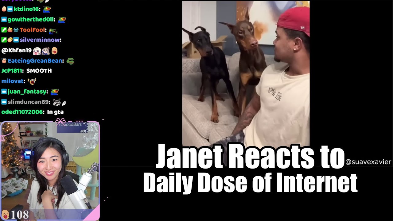 [Janet Reacts] The Best of the Internet 2022 by Daily Dose of Internet!