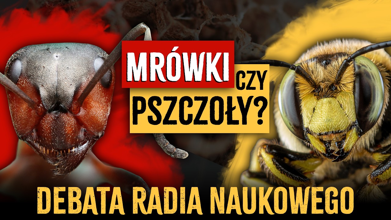 Mr&oacute;wki czy pszczoły? DEBATA Radia Naukowego | dr Michał Kolasa, dr Igor Siedlecki