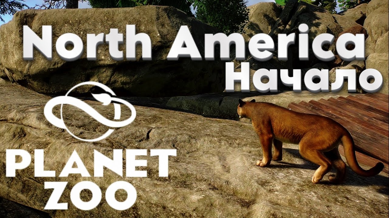 Planet zoo. North America the beginning/ Начало