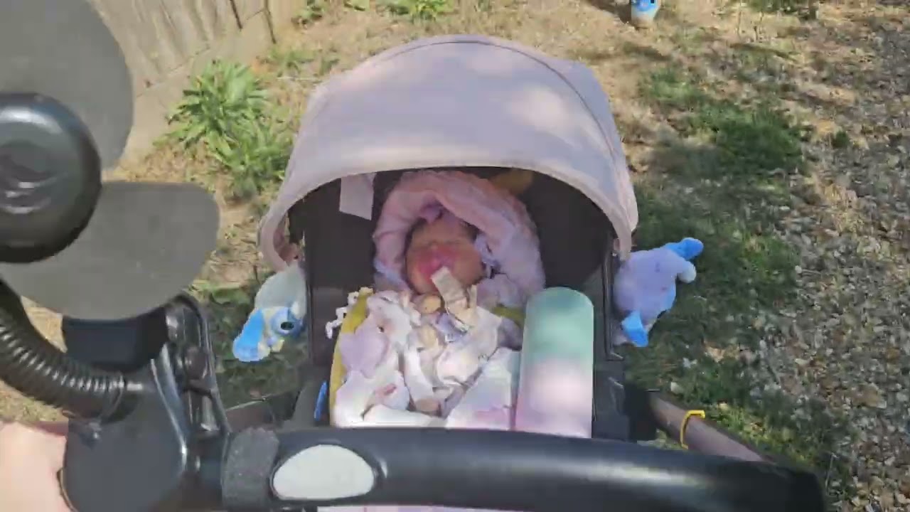 Lovely walk with Oliver and Samantha our reborns gracie may and Olivia 