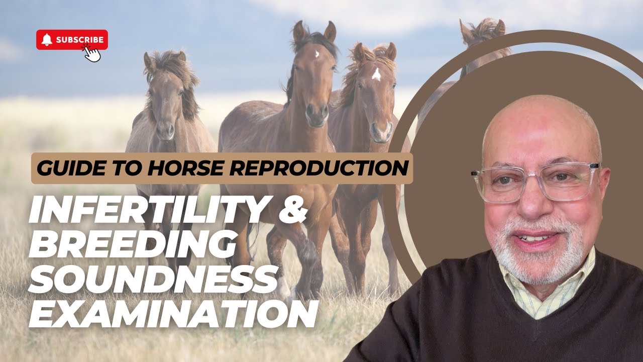 Guide to Mare/Horse Reproduction | Infertility & Breeding Soundness Examination