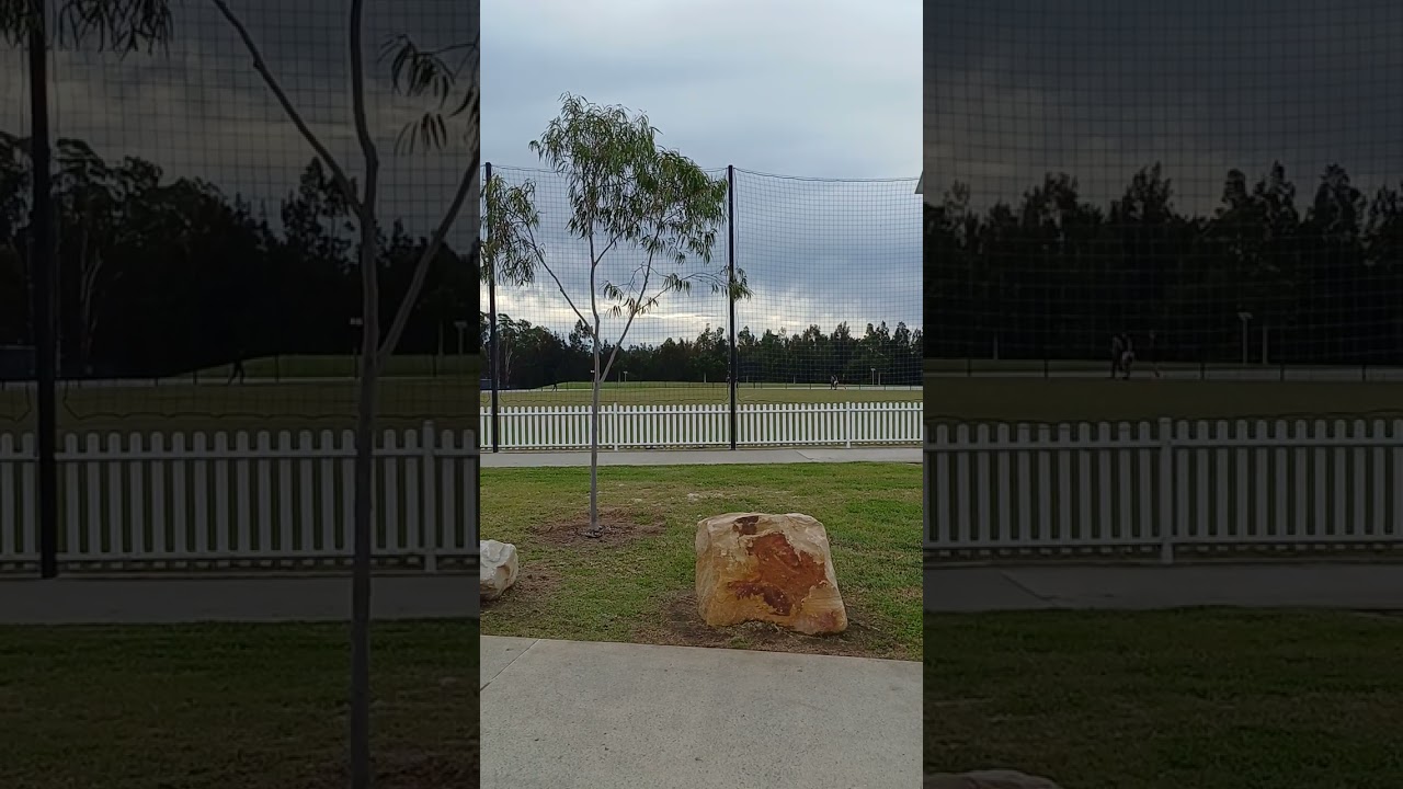 Stroll at Middleton Grange N.S.W. Australia.