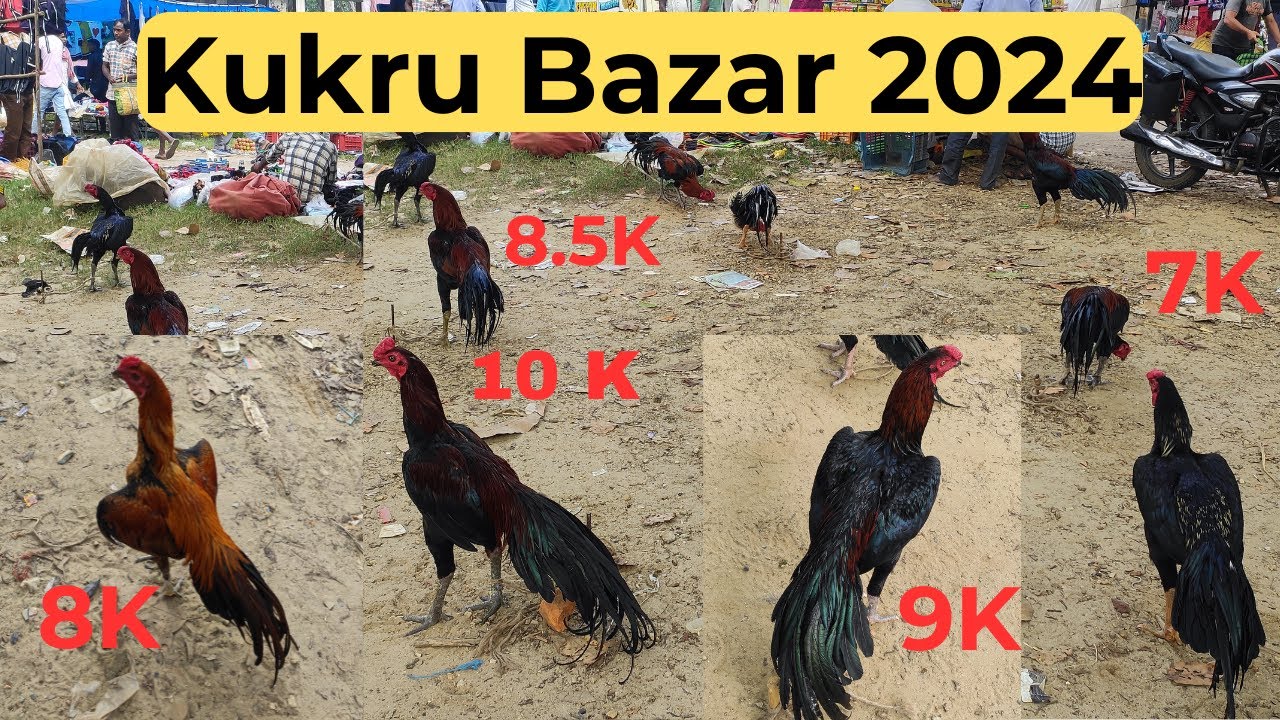 Kukru Babazar 2024| Kukuru Latest video | Kukru Bazar Jharkhand | Akshay Suman