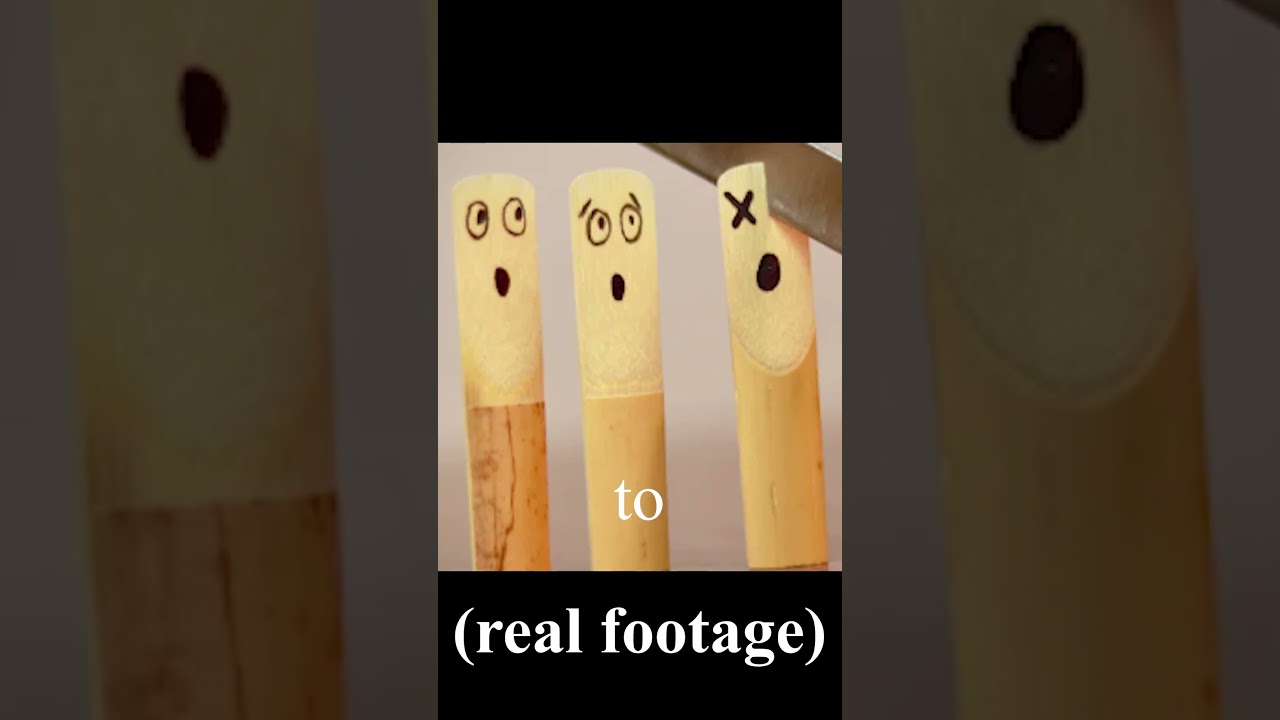 the best bass clarinet reeds aren't what you think...