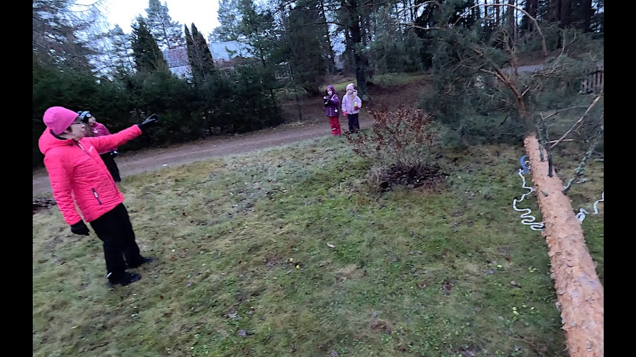 Nyt tulee palautetta. Pro Finnish Lumberjack And Husqvarna 550 xp.
