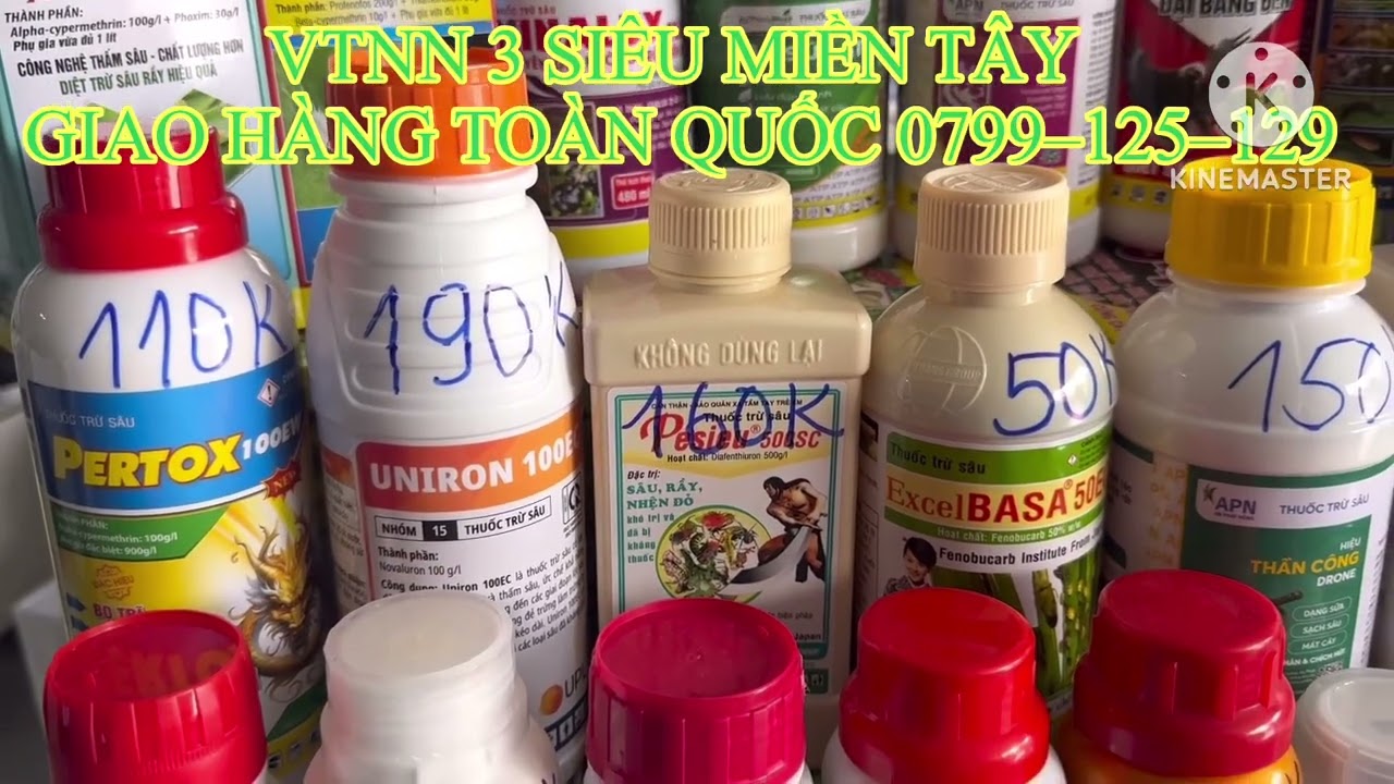 Cập Nhật giá sâu rầy nhện đỏ dạng nước #saurieng #nongnghiep #côntrùng 