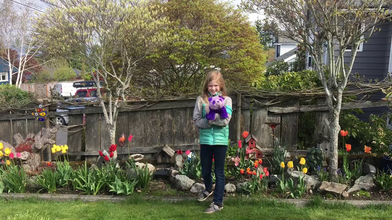 Seattle flowers