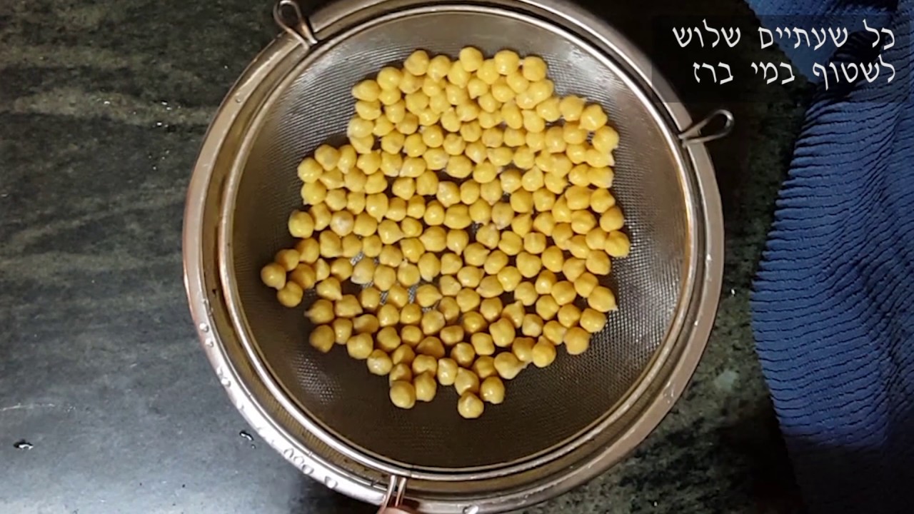 הנבטת גרגרי חומוס